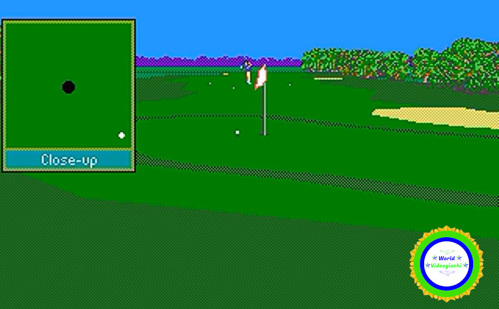 PGA Tour Golf, immagine 4. World Videogiochi